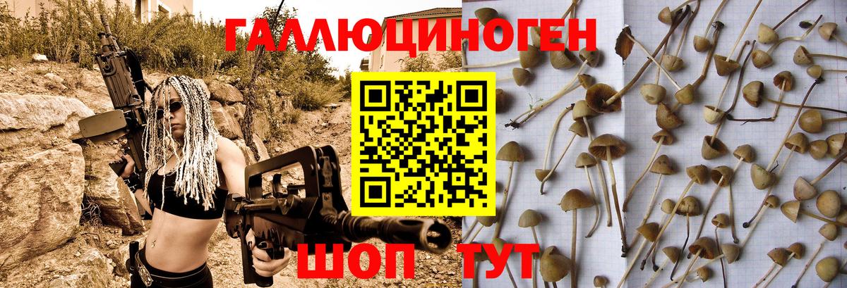 Галлюциногенные грибы Magic Shrooms Нефтеюганск